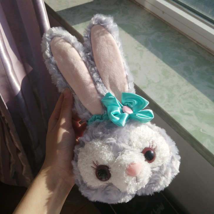 星黛露包包  前男友去上海迪士尼买来送的还...