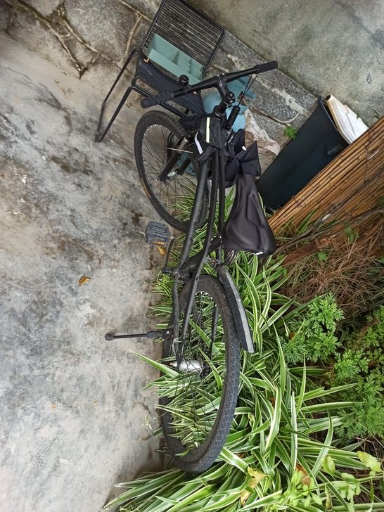 Lebron/勒布朗 死飞