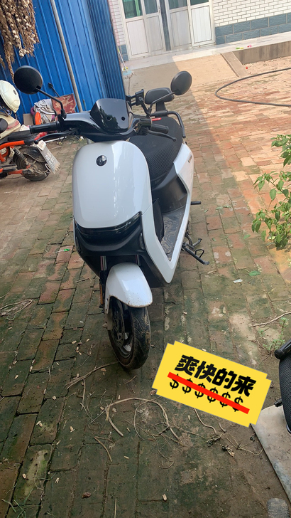 九号n90c,买车了不骑了,自己看吧,高阳...