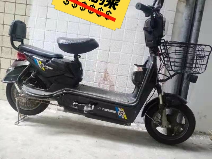 典航电动车,去年实体店买的,因为要出远门,...