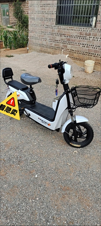 包邮新国标认证电动车48v12a男女电动代...