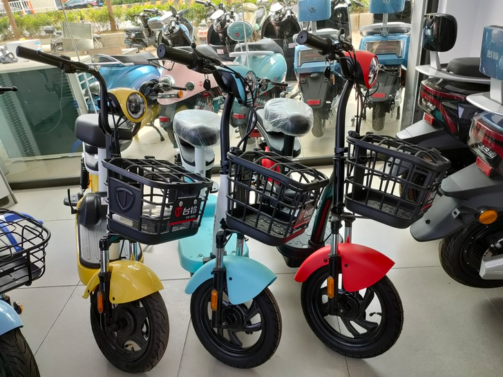 电自款 48v12a 全新台铃电动车