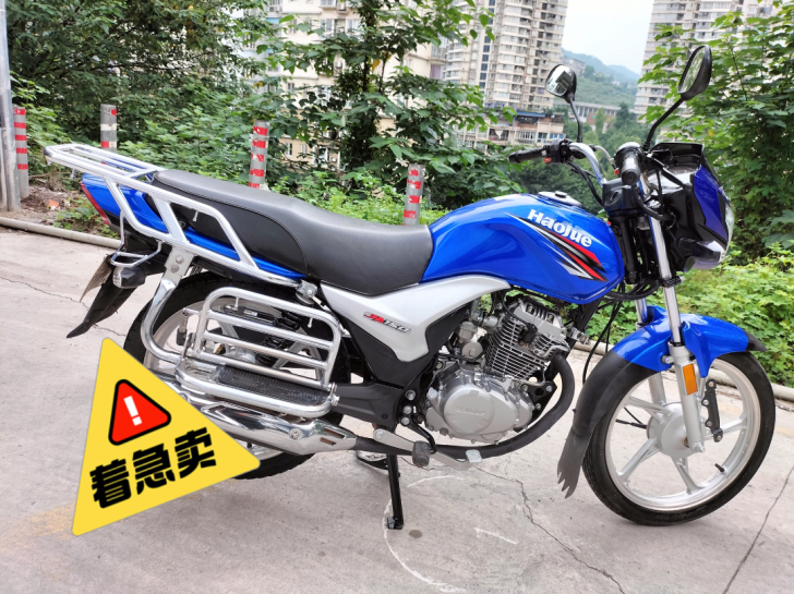 豪爵丽爽