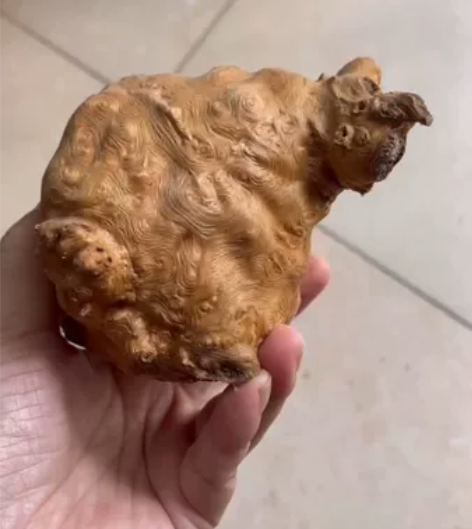 香薰炉盘香炉香插香道天然荔枝木瘿木树瘤瘤疤...