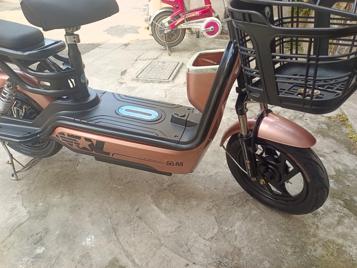 金箭48V 电动车        新充电器...
