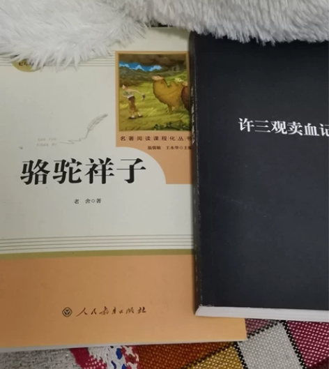 书处理清仓骆驼祥子，和余华的许三观买xue...