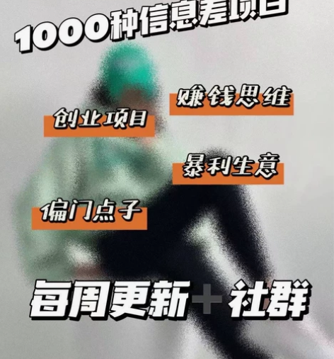 副业信息差1000种项目详细玩法 专业社群...