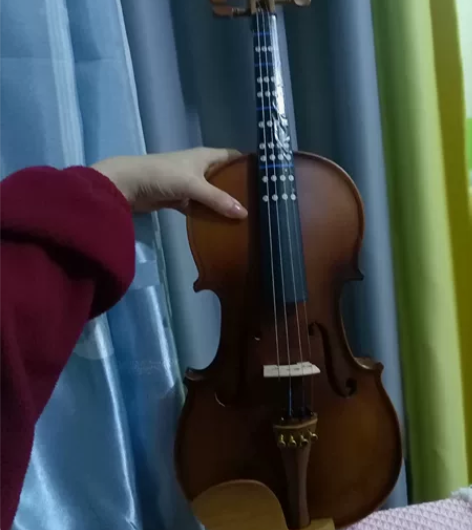 小提琴用过几次，现低价转让 不建议贴了那个...