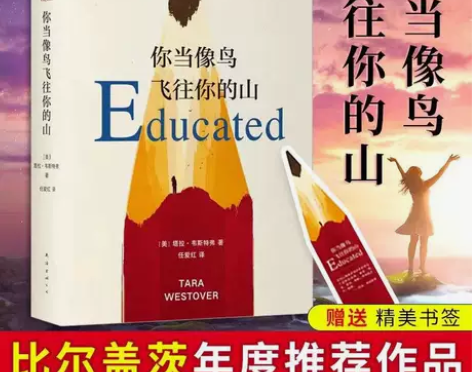 精装你当像鸟飞往你的山比尔盖茨推荐自传体女...