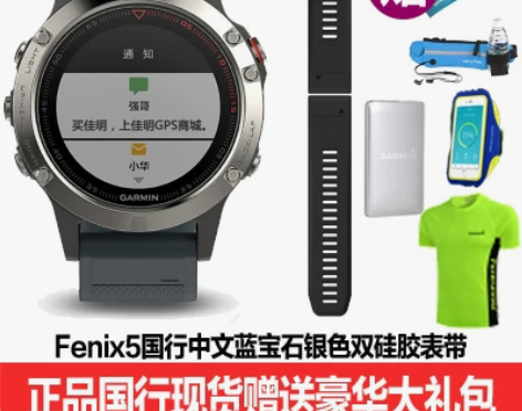 Garmin佳明fenix5X飞耐时5…国...