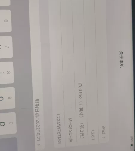 出个ipadPro2021带笔，全原，11...