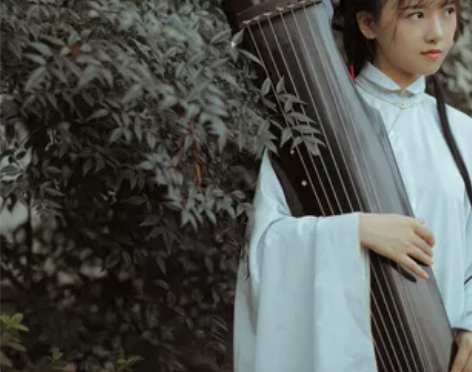 兰若庭 汉服 太平有象 长袄 立领 明制 ...