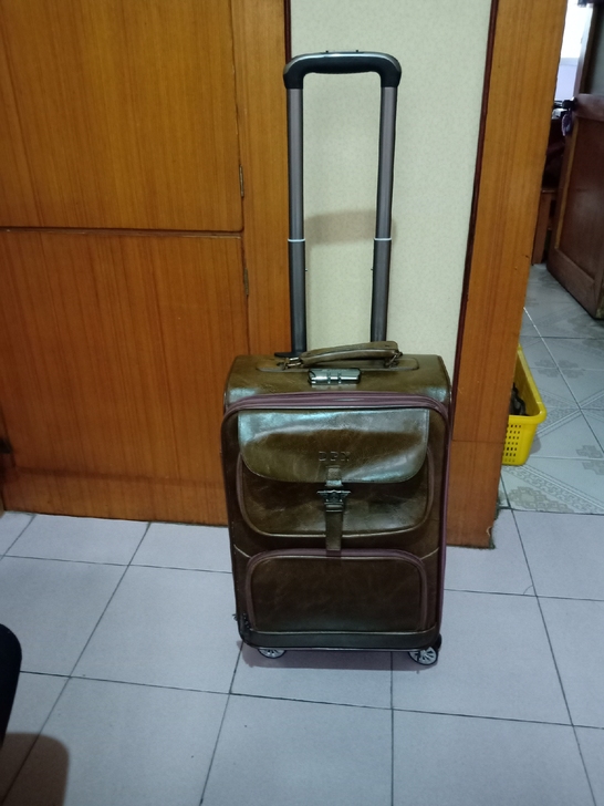 拉杆箱20寸可登机真皮正常使用万向轮没有磕...