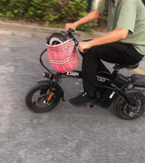 可折叠电动车。可蹬，可电，十分方便，人力?...