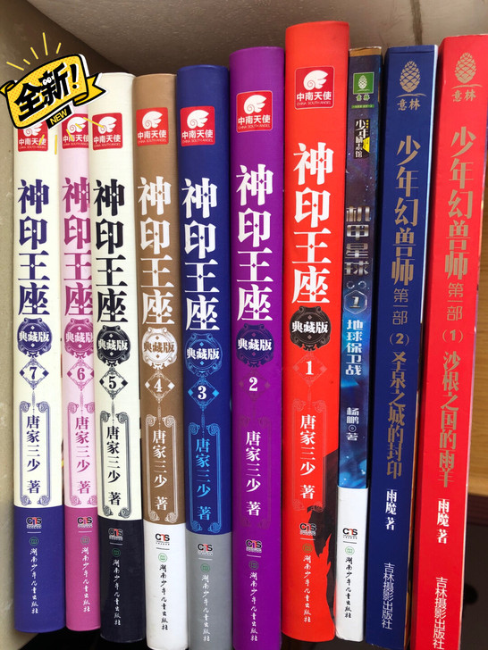 科幻小说孩子大了，在新华书店买的，有需要的...