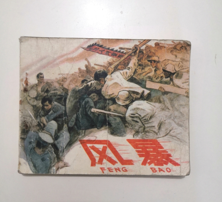 名家获奖作品风暴，品相如图，内页书脊完整，...