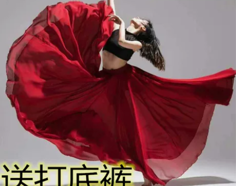 古典舞蹈服女飘逸新疆舞演出服半身长裙大摆