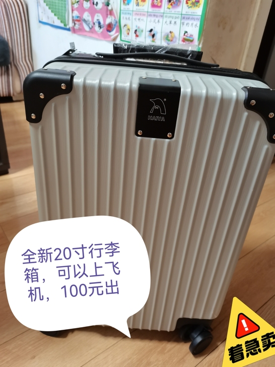 全新20寸行李箱，100元出，可以上飞机
