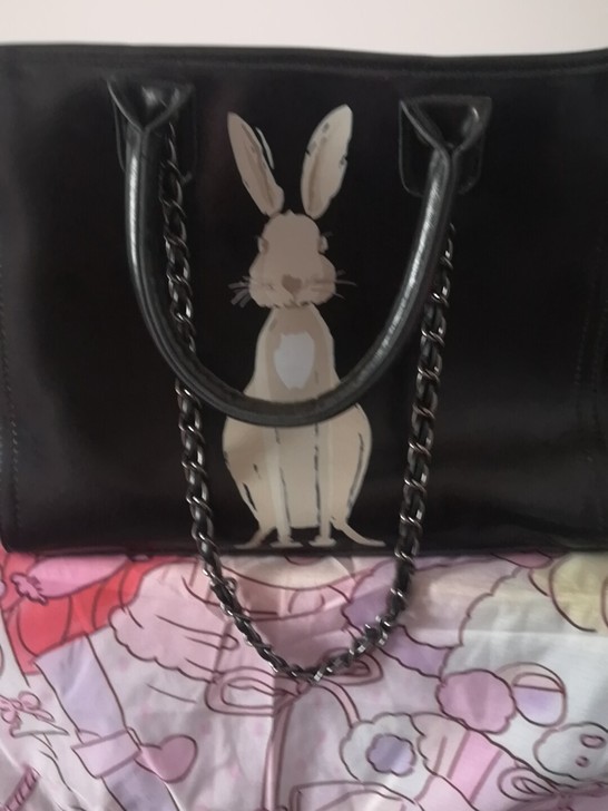 全新，全新 全新 ，超级好看的包包 ，原价...