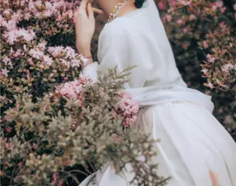 兰若庭 汉服 清菡 传统坦领 原创印花绣花...