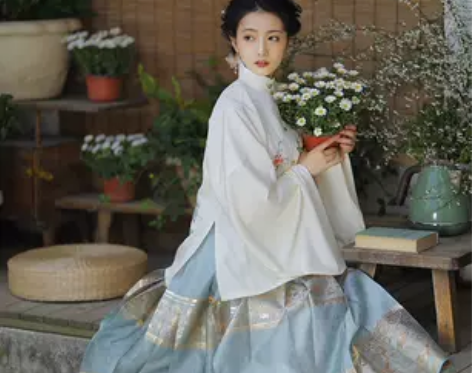 兰若庭汉服 望水云鹤 明制 立领 补服 暗...