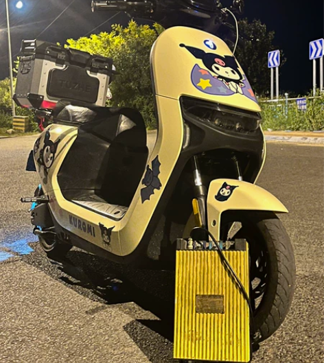 九号n70c 6060锂电 剩下的自己看?...