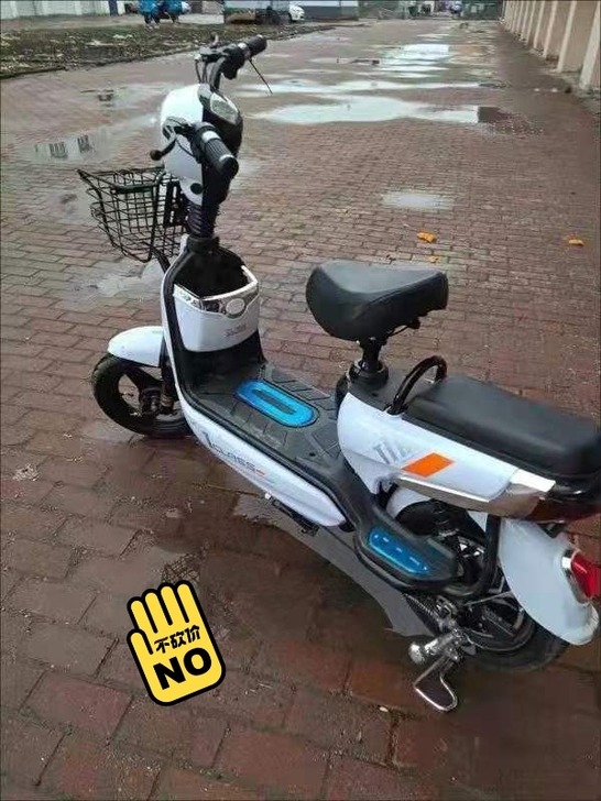 新款电动车成人电瓶车48v双人电动自行车小...
