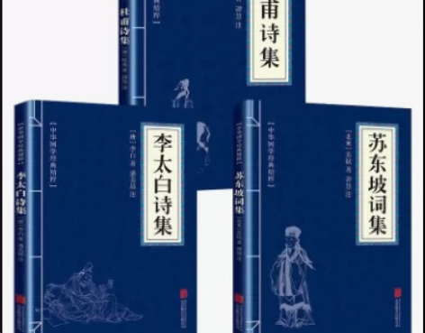 李太白诗集 杜甫诗经 苏东坡词集 中国古典...