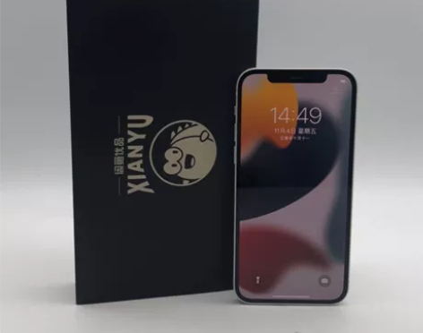 95新Apple/苹果 iPhone 12...