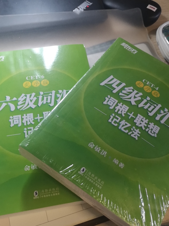 [全新包邮]英语四六级备考2021 新东方...