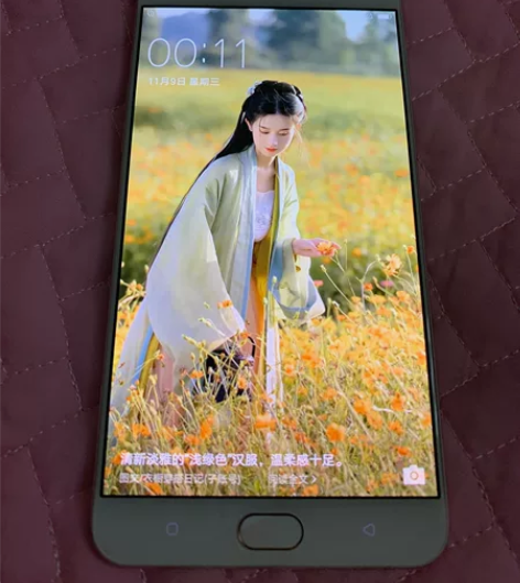 oppo r9s puls  内存6+64...