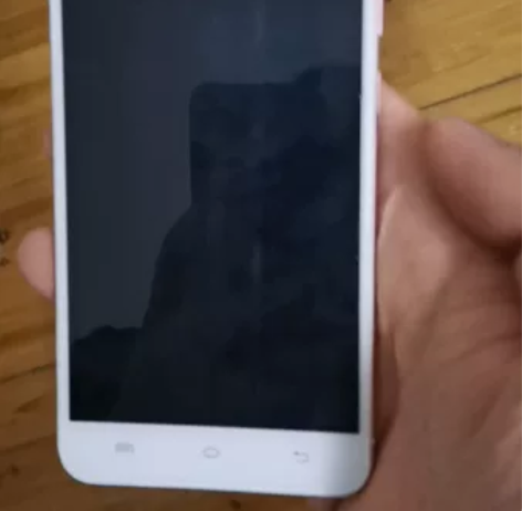 vivo x6d 纯原一手 售出不退 手感...