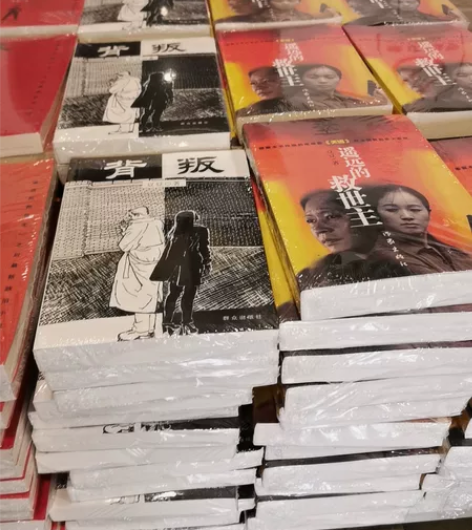 新的没拆封 文学小说 外面皮质薄膜都没有撕...