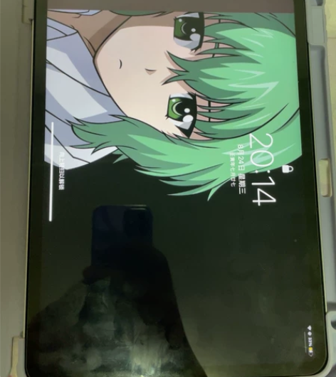 iPadpro 2021 256Gwifi...