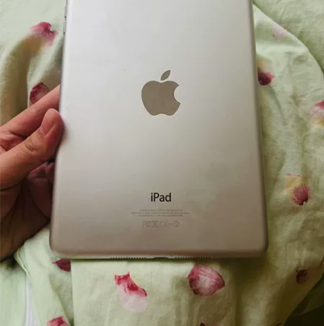 苹果iPad mini1家里买完一直放着 ...