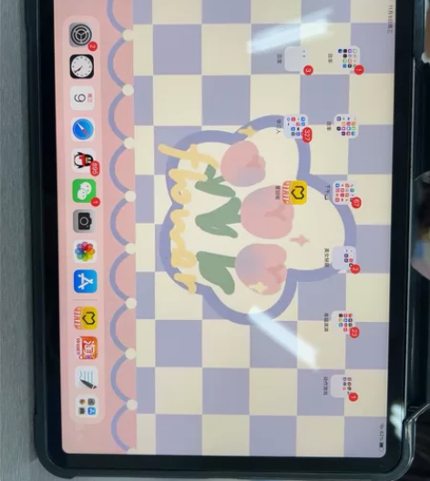 iPad pro 2021 256gwif...