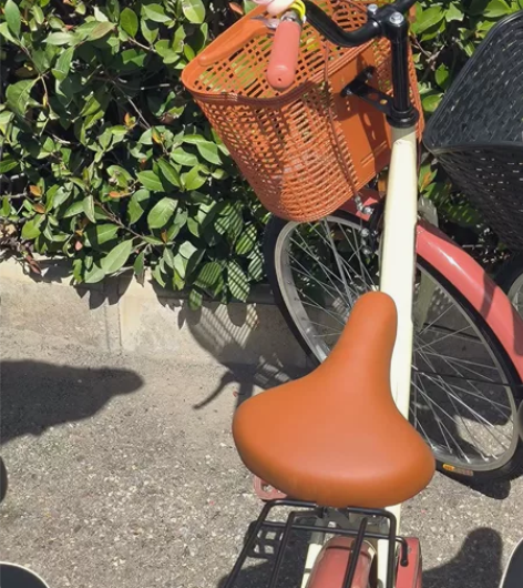 大一新生刚买的自行车，太懒了骑了几次就闲置...