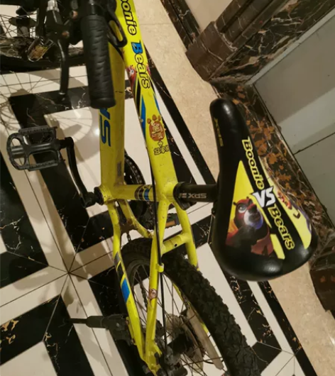 2019年线下门店购买儿童喜德盛自行车 1...