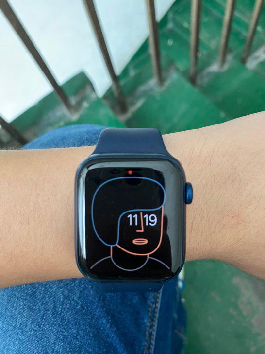 Apple Watch S6 44mm g...