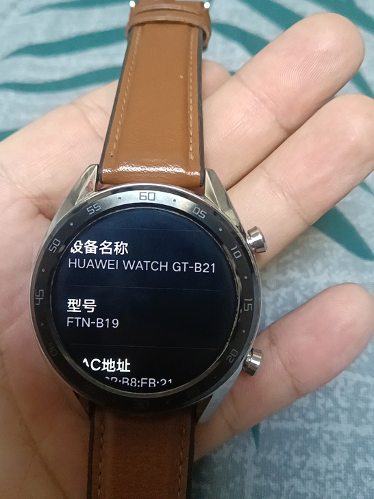 华为WATCH GT FTN-B19手表 ...