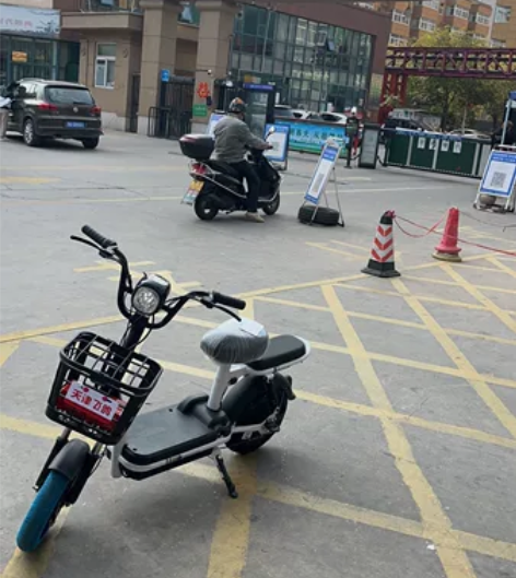 需要的朋友请联系我 因回老家着急出售 飞鸽...