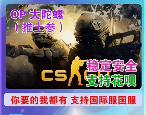 csgo5e辅助全功能定制过b5e官匹国际...