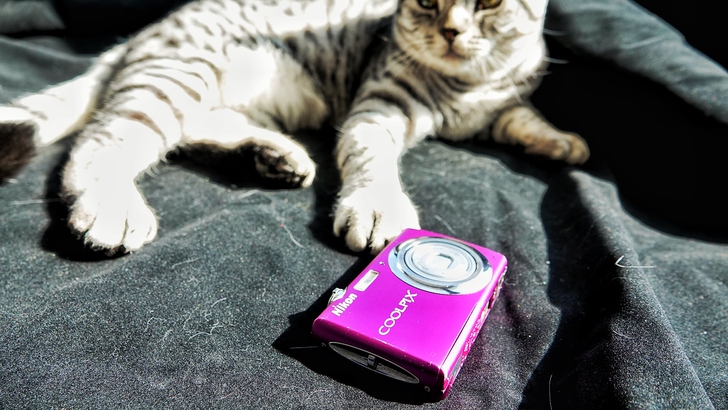 尼康coolpix s220学生入门卡片数...