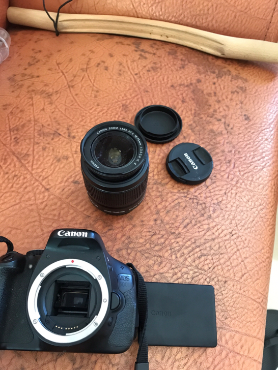 单反600d。放很久不用了 出现了 霉点。...