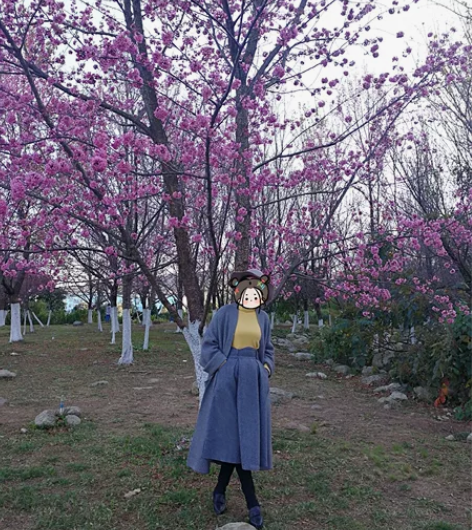 几乎全新羊毛高腰大摆裙M码，裙长72cm，...