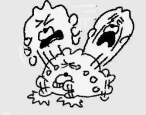 已绝版鬼灭之刃我妻善逸cos幸福猫猫 大全...