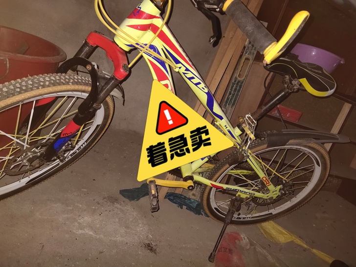 山地变速自行车