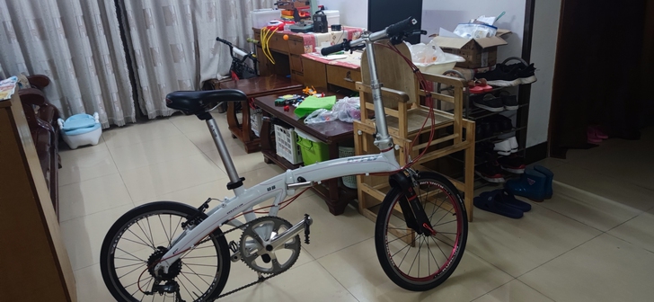 自组20寸折叠车，颜色好看