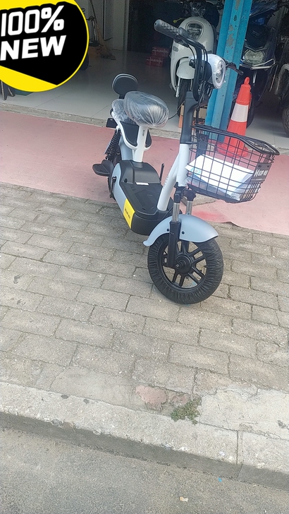 全新电动车，新国标上绿牌，防盗定位，骑行导...