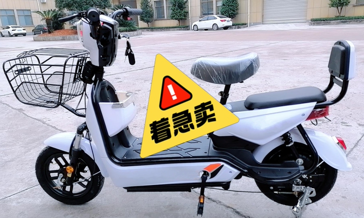 全新限量低价 新国标电动车厂家直销电瓶车电...